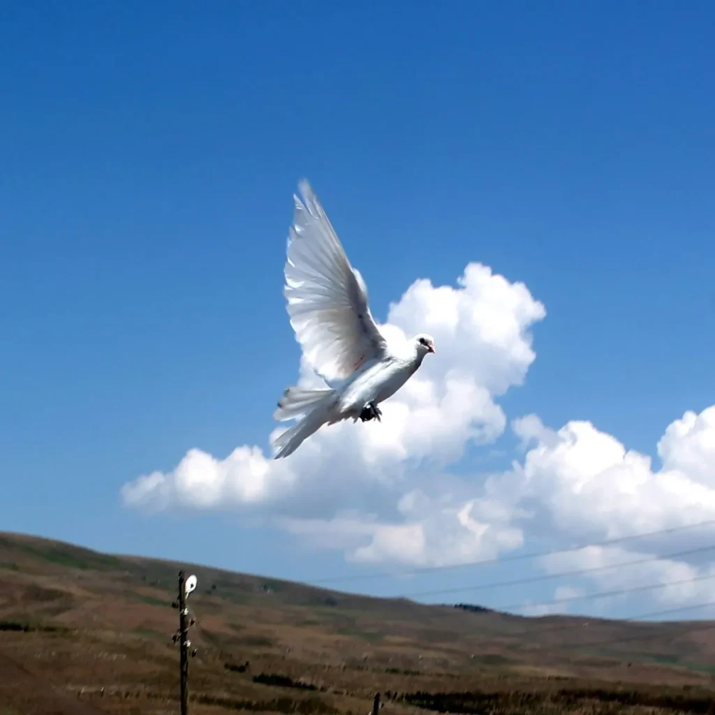 Seeking Protection and Safety Through Prayer