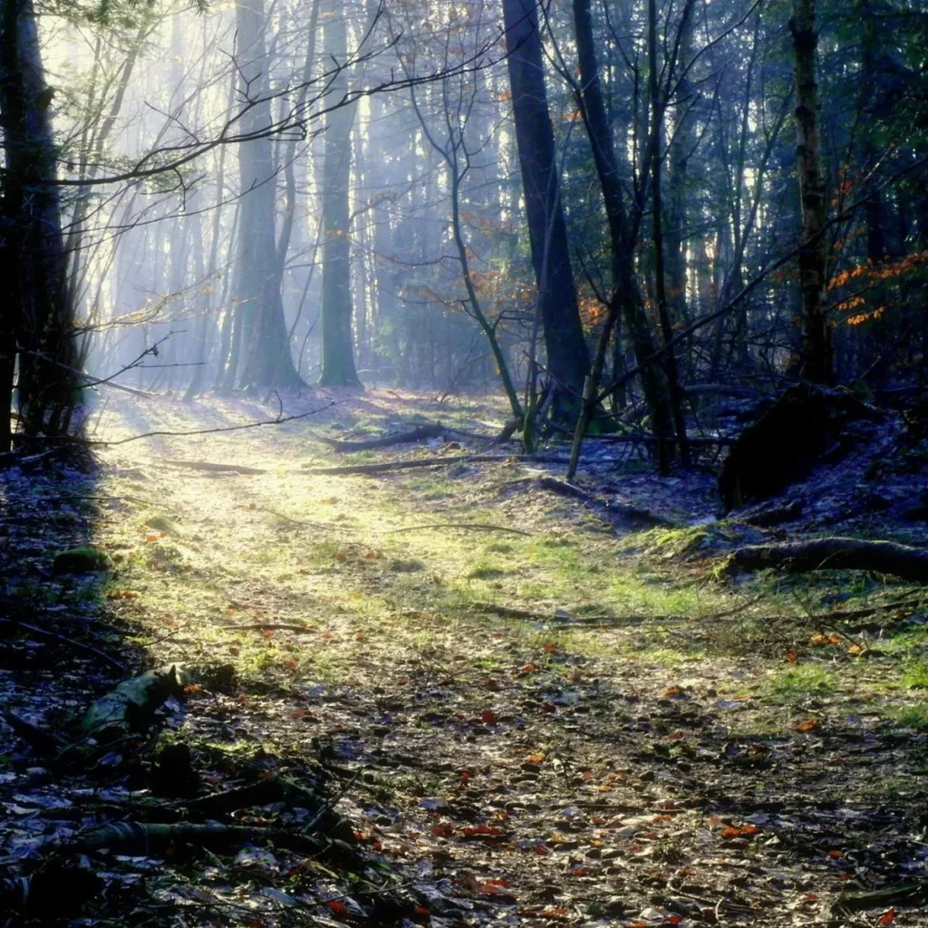 Sending Prayers Your Way During Difficult Times