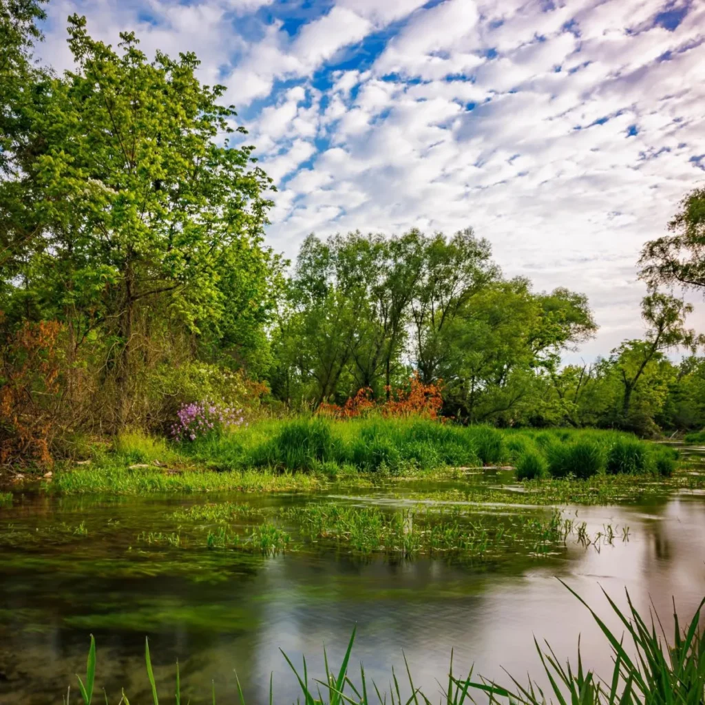 Sending Prayers Your Way for Healing